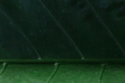 Content preview image