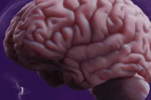 Content preview image